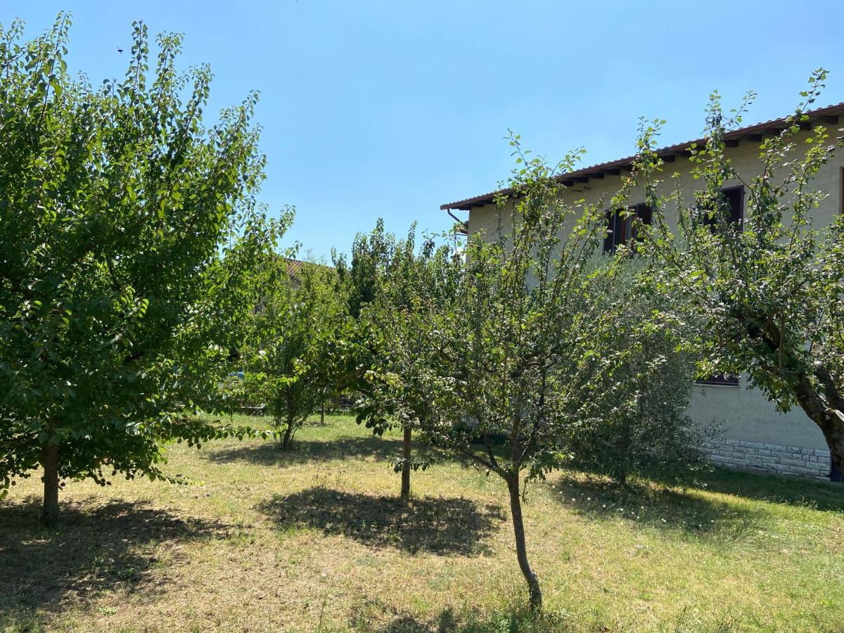 Vila La Casa Sul Trasimeno Castiglione del Lago Exteriér fotografie